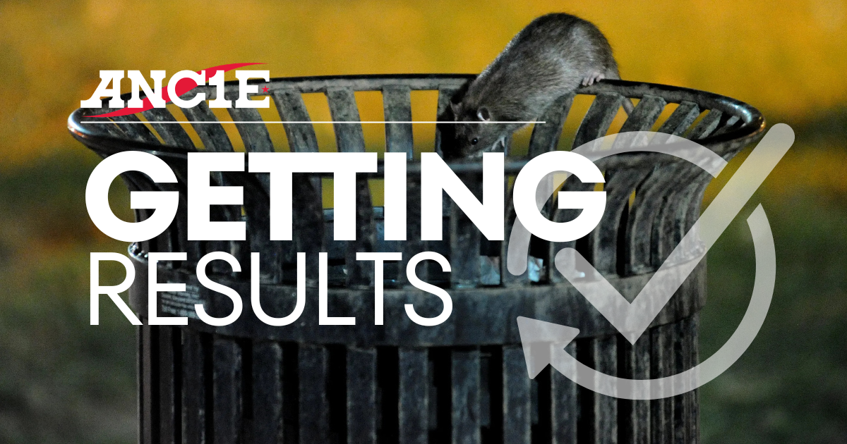 ANC 1E Calls on DC Health to Fix Rat Birth-Control Pilot, Strengthen Long-Term Fight Against Rats